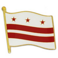 Washington DC Flag Pin